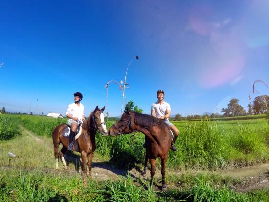Ubud Horse Stables